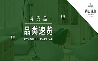 青山投研丨消费品品类速览015: 休闲服饰