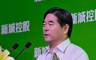 王振华猥亵女童案开庭：被捕一周年，新城控股业绩失速