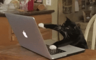 微信“拍一拍”：一个从 1971 年讲起的故事