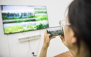 不想再做上班族？小两口在“盒马村”当新型农民，收成超200万