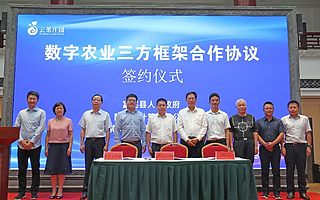 云南水果上“云” 阿里云和云南水果之鄉(xiāng)富民縣達(dá)成合作