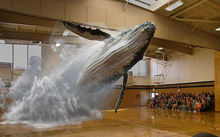 AR厂商Magic Leap证明了一件事:融资13亿美元也可能什么产品都做不出来