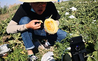 回村致富成新趋势！近1000万人在家门口拥抱互联网脱贫模式