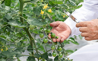 农业农村部：未来5年，培育100万农村双创带头人