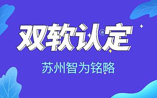 苏州企业需知什么是双软认定-10年以上申报经验