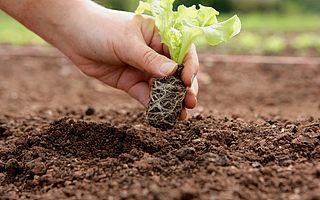 15部委发文促农民工就业创业：灵活就业支持政策与城镇户籍一致