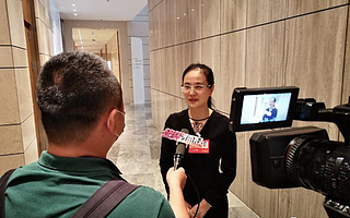 在深圳我是爷，在海口处处遇到爷——女企业家谈两地投资感受