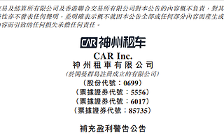 神州租车预计2020上半年亏损超38亿元