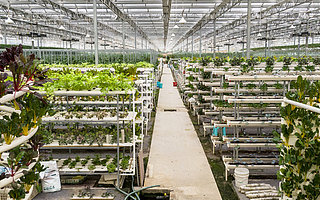 农业农村部：前7月新增1300万留返乡农民工就地就近就业