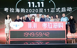 精选+定制！考拉海购携手全球1%优质品牌，打造会员专属双11