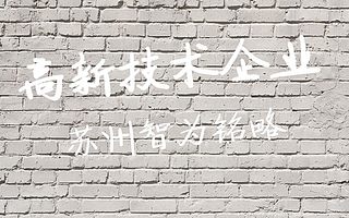 苏州高新技术企业日常管理自查自纠工作-项目不转包