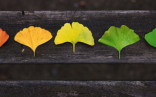 《八佰》救不了华谊