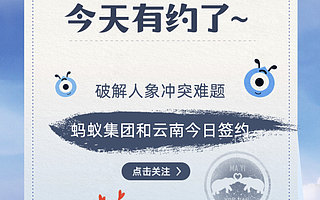 马云七夕帮忙找对象？答案暖了：原来是要去保护亚洲象