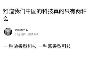 从酱油白酒到马斯克的脑机接口，我们距离美国式产学研还有多远