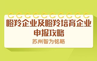 高新区瞪羚企业及瞪羚培育企业申报攻略-项目不转包