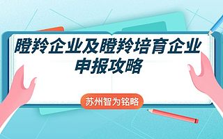 工业园区瞪羚企业及瞪羚培育企业申报攻略-不拿奖励，不付费