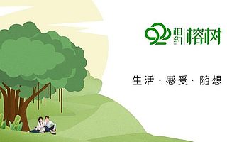 从传统文学diss到市值800亿，网文江湖激荡20年