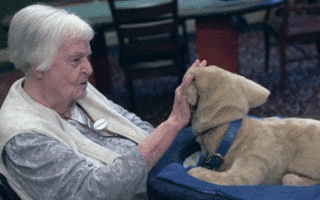 疫情再次证明，我们这代人将在机器人的陪伴下终老