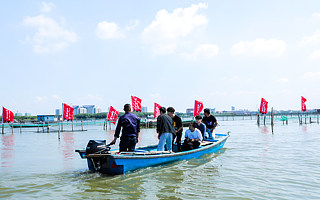 对低价低质说不！大闸蟹五大湖区携手阿里巴巴打造线上好蟹