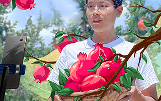 淘宝直播成中国农村最大人才市场：农人主播机构数量翻番