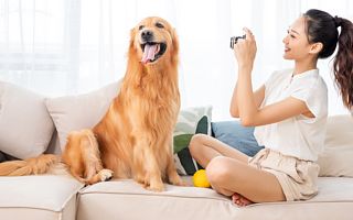 线上宠物经济崛起：每5.4秒有一场直播，年销售超300亿