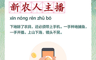 淘宝新农人主播报告：80后90后占七成，硕士博士也回乡创业了