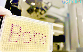 合成生物學(xué)公司恩和生物Bota Bio宣布完成1500萬美元A輪融資，打造生物制造產(chǎn)業(yè)引擎