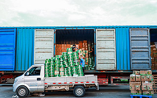 农民用手机“种”出淘宝村，阿里“亩产一千美金”改变中国农业