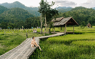 民宿行业“触底反弹”