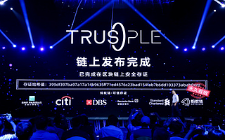 蚂蚁集团副总裁蒋国飞：解决买卖家双方信任问题，16年前是支付宝16年后是Trusple