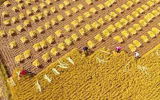 【猎云网首发】全球小宗农产品综合服务平台 “超粮网”获千万美元A轮融资，五岳资本独家投资