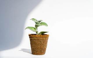 稳坐行业第一 爱回收的供应链驱动逻辑