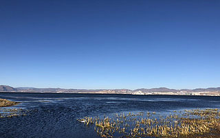 乡村旅游“热”起来，天眼查：我国农家乐相关企业注册总量较十年前翻了三番