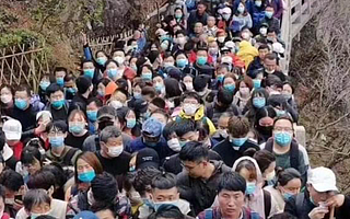 旅游行业濒死重生，他们如何熬过这半年