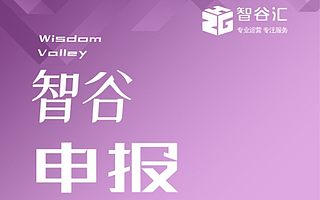 【智谷申報】成都市2020年度信息化類支持項目申報指南