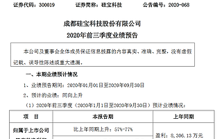硅寶科技2020年前三季度凈利潤同比增長57%-77%