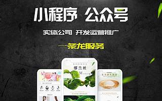 深圳专业个性网站建设定制开发公司,商城开发,网页设计微信小程序所有行业都可以开发