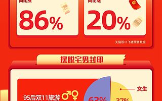 双11飞猪旅行购物车:95后忙活自己开心,85后忙活家人幸福