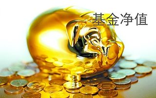 和金财经：基金净值在长期熊市的过程中回报差距为什么更显著？