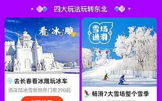 双11飞猪又捧出一个国内游黑马,这次火的是东北