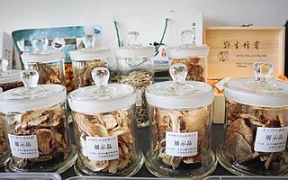 虎眼︱如何豎起扶貧那架梯子