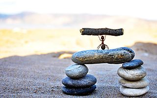 蚂蚁未“折戟”