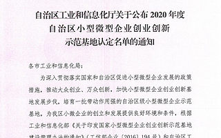 南宁国电电力科技有限责任公司被认定为自治区小型微型企业创业创新示范基地！