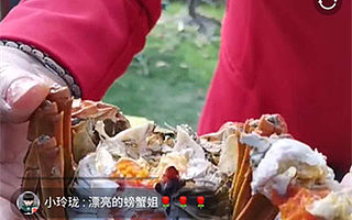 新北区妇联助农直播 为巾帼新农人创新创业插上翅膀