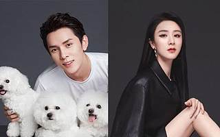 李佳琦一个人战斗，薇娅走上辛巴的路