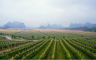 天貓雙11已累計助銷1406個縣域的41萬款農產品