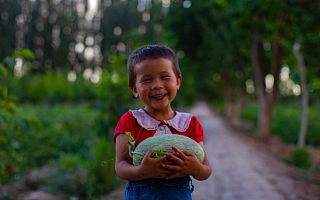 阿里巴巴助农天猫双11成绩单：农产品成交120亿，同比增长22%