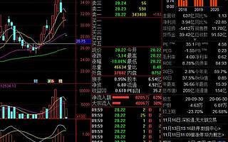 收購華為榮耀落空 神州數(shù)碼跌停