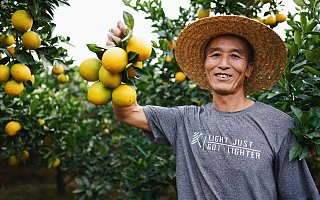 脱贫致富加速度，阿里脱贫生态助力寻乌卖空1万吨脐橙