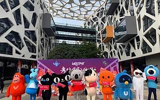 考拉上“云”的431天：經(jīng)歷了怎樣的“脫胎換骨”？